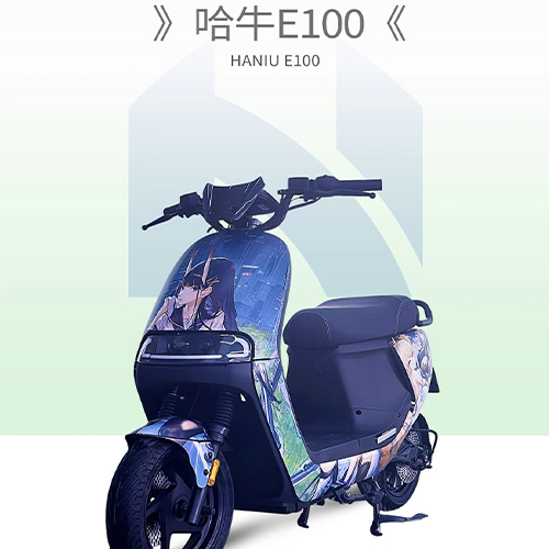 HANIU E100 Long range electric bicycle