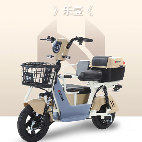 LEYI Large space tricycle Long endurance high-performance tricycle