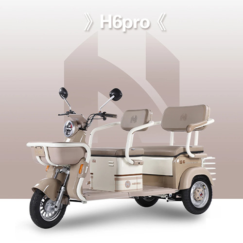 H6pro Leisure electric tricycle for commuting