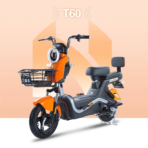 T60 Shock-absorbing two wheeled scooter