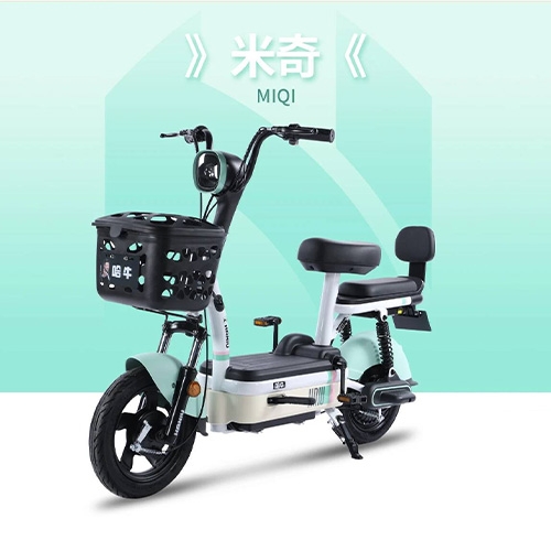 MIQI Long range electric bicycle