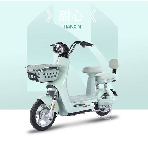 TIANXIN Long range electric bicycle