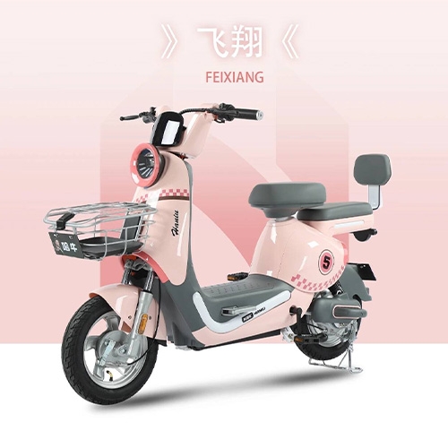 FEIXIANG Long range electric bicycle