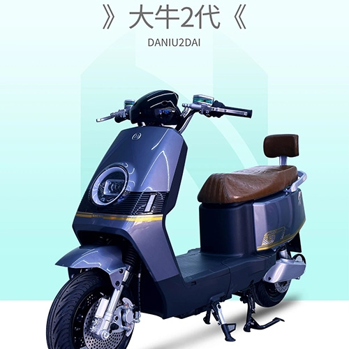 DANIU2DAI  Electric bicycles for commuting
