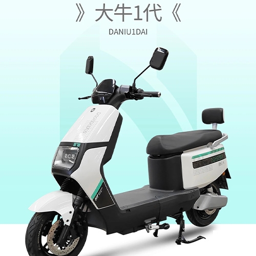 DANIIU1DAI Shock-absorbing two wheeled scooter