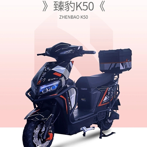 ZHENBAO K50  Shock-absorbing electric bicycle