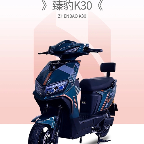 ZHENBAO K30  Long range electric bicycle