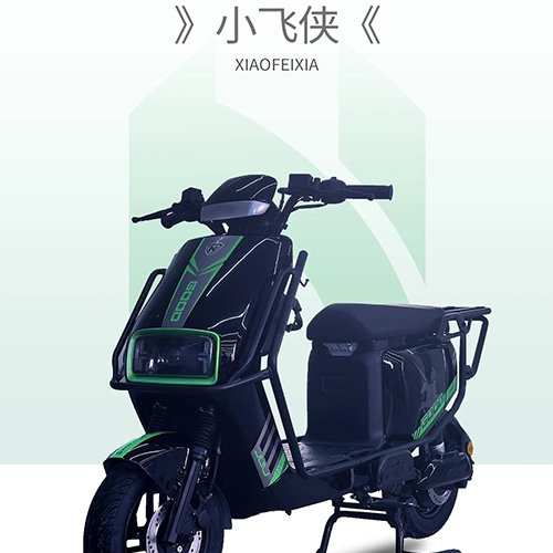 XIAOFEIXIA  Electric bicycles for commuting