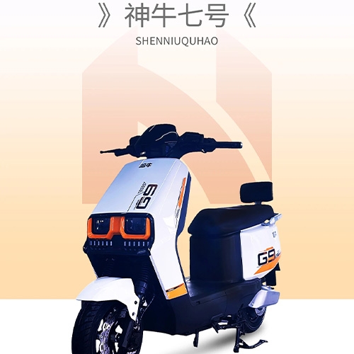SHENNIUQHAO  Shock-absorbing two wheeled scooter