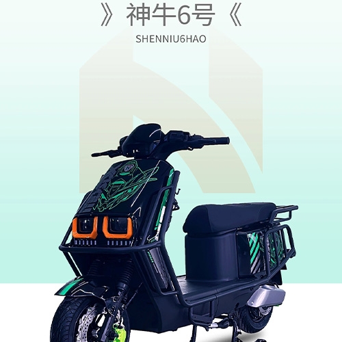 SHENNIU6HAO  Long range electric bicycle