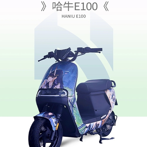 HANIU E100 Long range electric bicycle