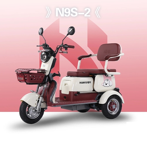 N9S-2 Leisure electric tricycle for commuting