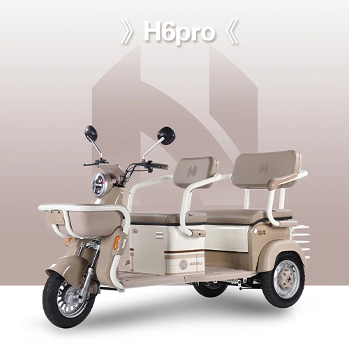 H6pro Leisure electric tricycle for commuting